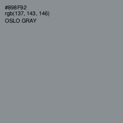 #898F92 - Oslo Gray Color Image